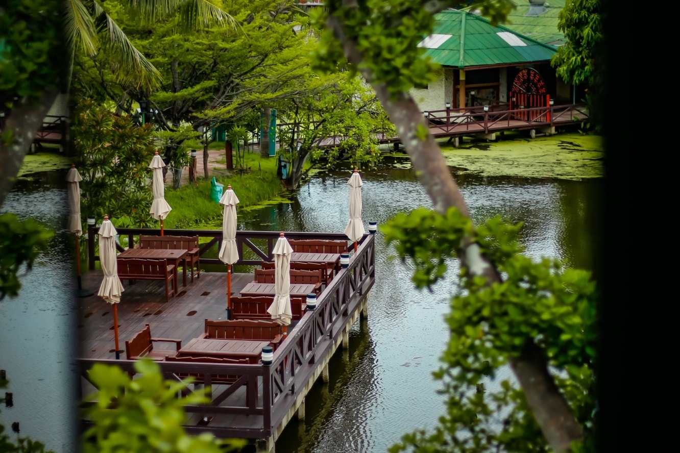 Beautiful Garden
