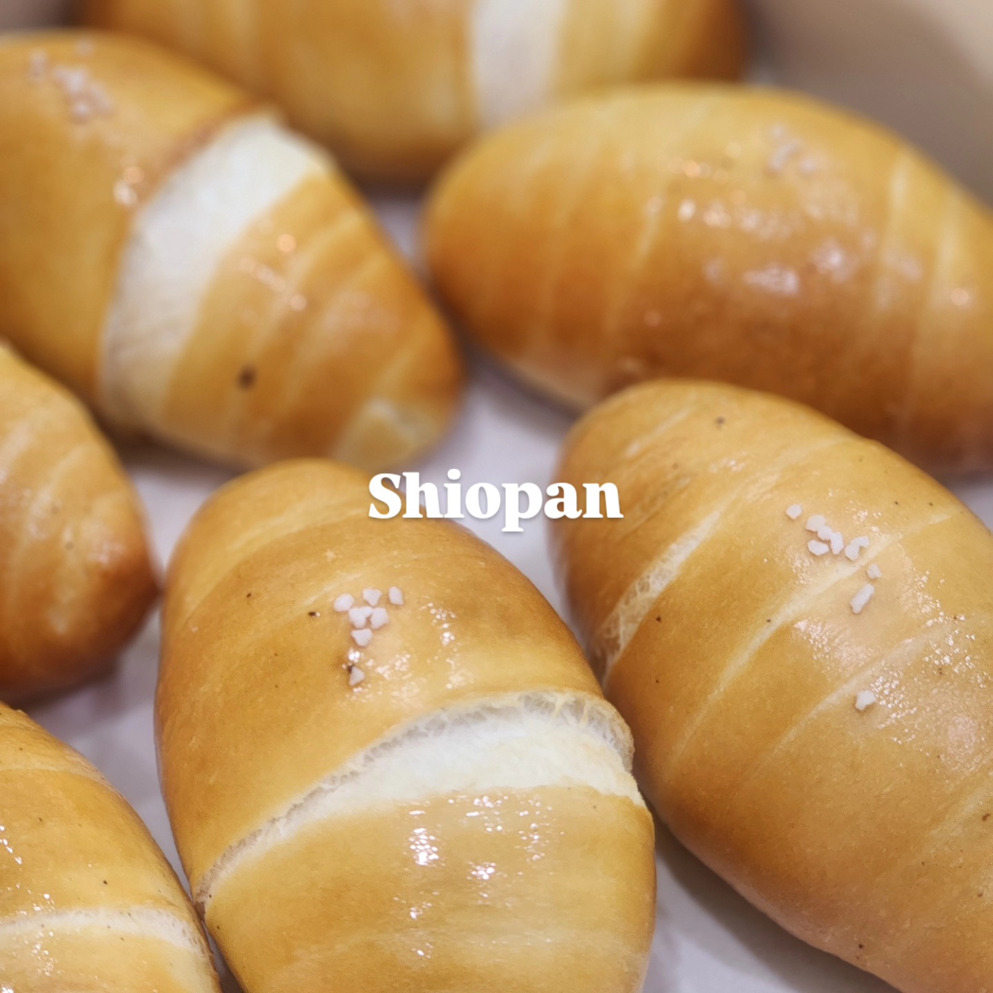 Premium Bakery